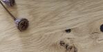 40150024-1_image_2