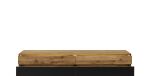 41090003-2_image_1